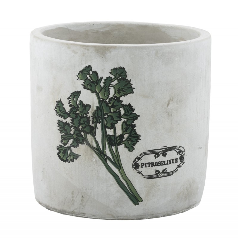 DONICA do ziół kuchennych PIETRUSZKA | Wysyłka w 24h!