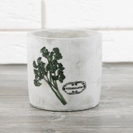 DONICA do ziół kuchennych PIETRUSZKA | Wysyłka w 24h!