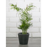 DONICA SOFIA ceramiczna kolor grafitowy | Wysyłka w 24h!