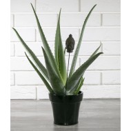 DONICA LEON ceramika kolor czarny styl nowoczesny | Wysyłka w 24h!