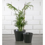 KOMPLET SZARYCH DONICZEK ceramiczne | Wysyłka w 24h!