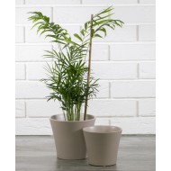 KOMPLET BEŻOWYCH DONICZEK ceramika | Wysyłka w 24h!