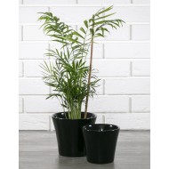 KOMPLET CZARNYCH DONICZEK ceramika | Wysyłka w 24h!