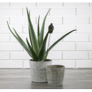 Komplet betonowych donic w gwiazdki, szare | Wysyłka w 24h!