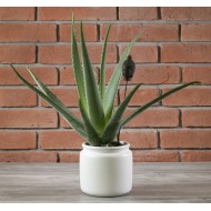 DONICA KOLLI, ceramiczna, biała | Wysyłka w 24h!