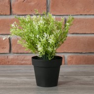 Sztuczna mimoza w doniczce | Wysyłka w 24 godziny!