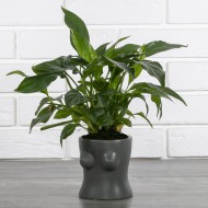 DONICA Femma szara ceramiczna | Wysyłka w 24h!