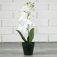 Sztuczna Orchidea w doniczce