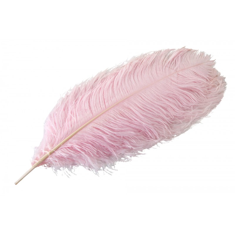 Pióro dekoracyjne strusie różowe XL | Wysyłka w 24h!