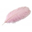 Pióro dekoracyjne strusie różowe XL | Wysyłka w 24h!