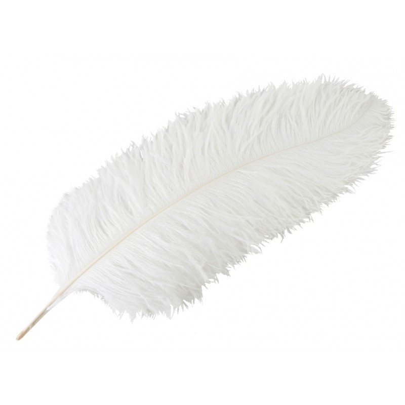 Pióro dekoracyjne strusie białe długie XL | Wysyłka w 24h!