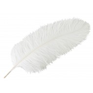Pióro dekoracyjne strusie białe długie XL | Wysyłka w 24h!