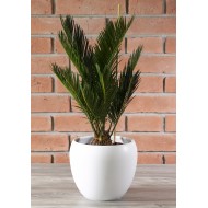 Donica Leon ceramiczna biała śr. 21cm | Wysyłka w 24h!