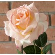 SZTUCZNA RÓŻA różowa 68cm