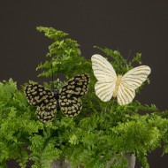 OZDOBA do doniczki, stroików Motyle złote |  Wysyłka w 24h!