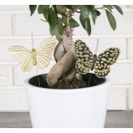 OZDOBA do doniczki, stroików Motyle złote |  Wysyłka w 24h!