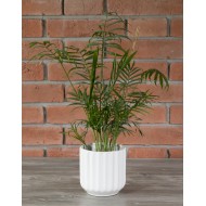 Donica do kwiatów Ella biała | Wysyłka w 24h!