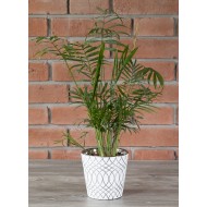 Osłonka Igloo biało-srebrna ceramiczna | Wysyłka w 24h!