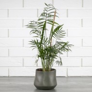 Srebrna osłonka na doniczkę ceramiczna | Wysyłka w 24h!