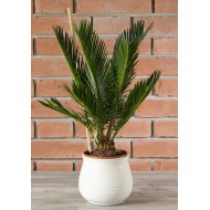 Donica Boro beżowa ceramiczna | Wysyłka w 24h!