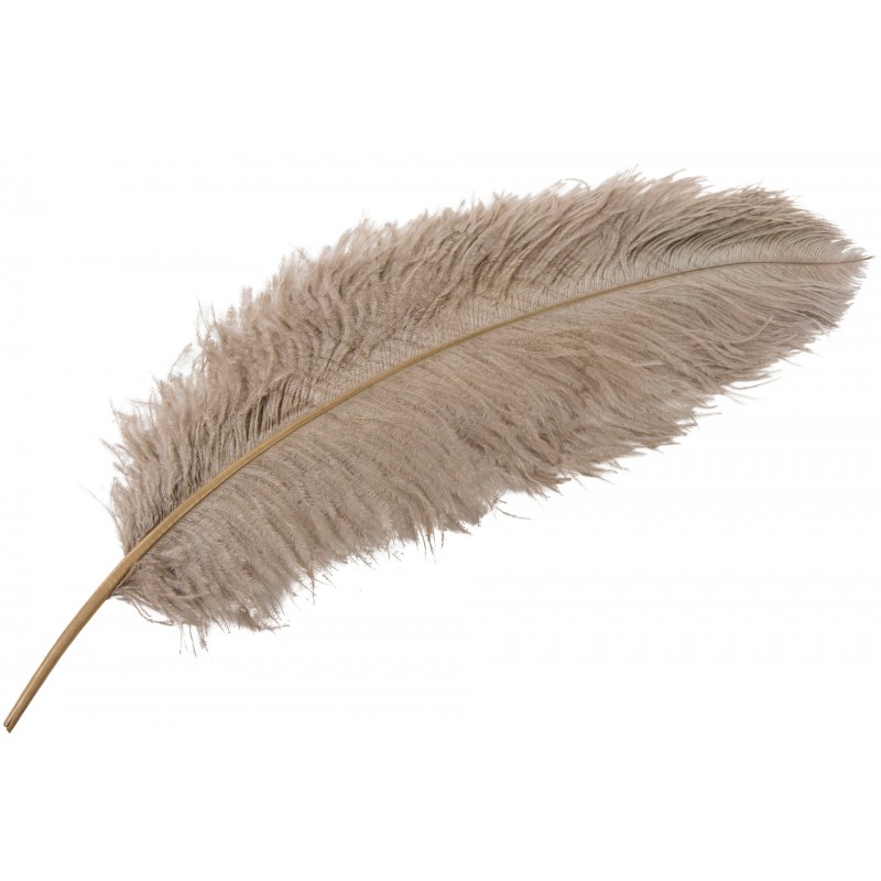 Pióro strusie dekoracyjne do wazonu beżowe XL | Wysyłka w 24h!