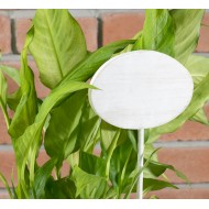 Tabliczka do opisywania kwiatów drewniana | Wysyłka w 24h!