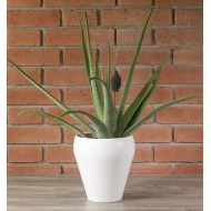 Donica Bella ceramiczna biała | Wysyłka w 24h!