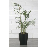 Donica czarna na storczyki ceramiczna | Wysyłka w 24h!