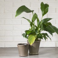 Donica Lobi ceramiczna brązowa komplet | Wysyłka w 24h!