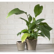 Donica Lobi ceramiczna komplet | Wysyłka w 24h!