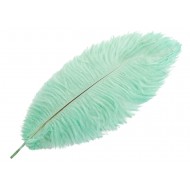 Pióro strusie dekoracyjne do wazonu kolor turkusowy | Wysyłka w 24h!