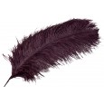 Pióro strusie dekoracyjne kolor burgundowy | Wysyłka w 24h!
