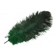 Pióro strusie dekoracyjne do wazonu ciemnozielone | Wysyłka w 24h!