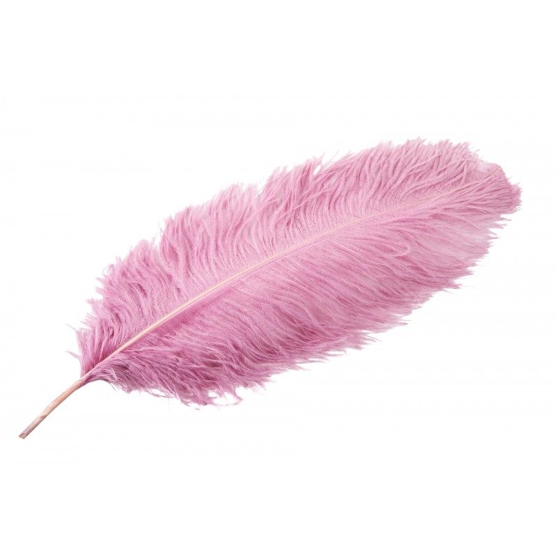 Pióro strusie dekoracyjne do wazonu ciemnoróżowe | Wysyłka w 24h!