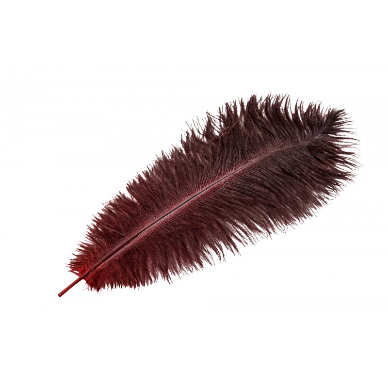 Pióro strusie dekoracyjne do wazonu ciemnoczerwone | Wysyłka w 24h!