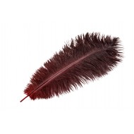 Pióro strusie dekoracyjne do wazonu ciemnoczerwone | Wysyłka w 24h!