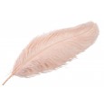Pióro strusie dekoracyjne do wazonu pudrowo różowe | Wysyłka w 24h!