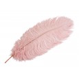 Pióro strusie dekoracyjne różowe | Wysyłka w 24h!