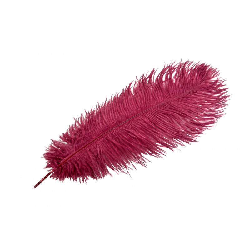 Pióro strusie dekoracyjne karminowe | Wysyłka w 24h!