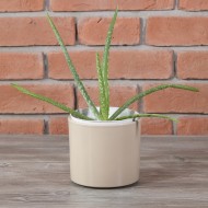 Donica Maria ceramiczna beżowa |  Wysyłka w 24h!