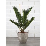 Donica Strom szara ceramiczna |  Wysyłka w 24h!