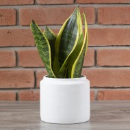 Donica Tang betonowa biała | Wysyłka w 24h!