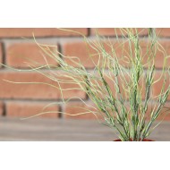 Sztuczna trawa w doniczce | Wysyłka w 24 godziny!