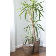 Donica kosz wiklinowa brązowa | Wysyłka w 24h