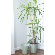 Donica Ocean turkusowa wiaderko komplet | Darmowa wysyłka!