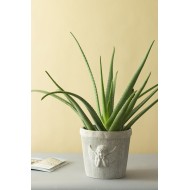 Donica Angel betonowa szara | Wysyłka w 24h!