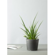 Donica imitacja kamienia szara |  Wysyłka w 24h!