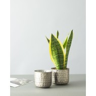 Donica Bim srebrna komplet | Wysyłka w 24h!