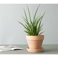 Donica Terakota przecierana z odpływem gliniana | Wysyłka w 24h!