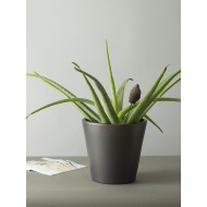 Donica Sofia czary mat ceramiczna XL | Wysyłka w 24h!